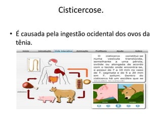 Cisticercose.

• É causada pela ingestão ocidental dos ovos da
  tênia.
 