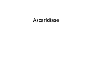 Ascaridíase
 