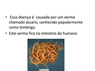 • Essa doença é causada por um verme
  chamado áscaris, conhecido popularmente
  como lombriga.
• Este verme fica no intestino do humano
 