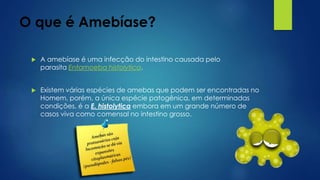 O que é Amebíase?
 A amebíase é uma infecção do intestino causada pelo
parasita Entamoeba histolytica.
 Existem várias espécies de amebas que podem ser encontradas no
Homem, porém, a única espécie patogênica, em determinadas
condições, é a E. histolytica embora em um grande número de
casos viva como comensal no intestino grosso.
 
