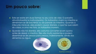 Um pouco sobre:
 Este ser existe em duas formas no seu ciclo de vida: O parasita
ativo(trofozoíto) e inativo(quisto). Os trofozoítos vivem no intestino e
alimentam-se de bactérias ou da parade do intestino. Quando a
infecção inicia-se, eles podem causar diarreia, o que faz que saiam
do corpo, e uma vez fora, os trofozoítos morrem.
 Quando não há diarréia, ele costuma converter-se em quistos
antes de deixar o intestino. Eles são muito resistentes e podem
disseminar-se de pessoa para pessoa, indiretamente, atrvés dos
alimentos ou água.
Forma trofozoíca Forma cística
 