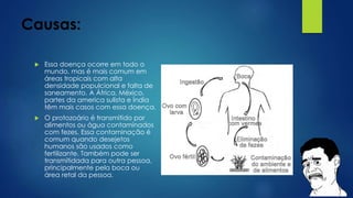 Causas:
 Essa doença ocorre em todo o
mundo, mas é mais comum em
áreas tropicais com alta
densidade populcional e falta de
saneamento. A África, México,
partes da america sulista e Índia
têm mais casos com essa doença.
 O protozoário é transmitido por
alimentos ou água contaminados
com fezes. Essa contaminação é
comum quando desejetos
humanos são usados como
fertilizante. Também pode ser
transmitidada para outra pessoa,
principalmente pela boca ou
área retal da pessoa.
 