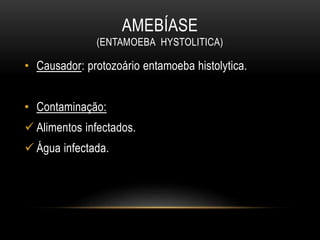 AMEBÍASE
(ENTAMOEBA HYSTOLITICA)
• Causador: protozoário entamoeba histolytica.
• Contaminação:
 Alimentos infectados.
 Água infectada.
 