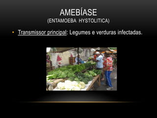 AMEBÍASE
(ENTAMOEBA HYSTOLITICA)
• Transmissor principal: Legumes e verduras infectadas.
 