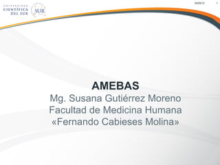 04/04/12   1




        AMEBAS
Mg. Susana Gutiérrez Moreno
Facultad de Medicina Humana
«Fernando Cabieses Molina»
 