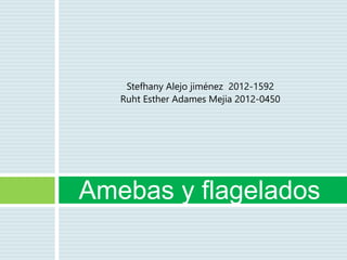 Stefhany Alejo jiménez 2012-1592
Ruht Esther Adames Mejia 2012-0450
Amebas y flagelados
 