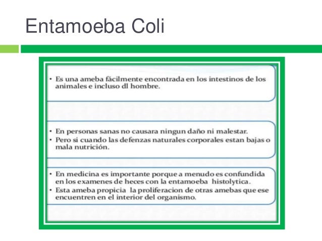 Entamoeba Entamoeba