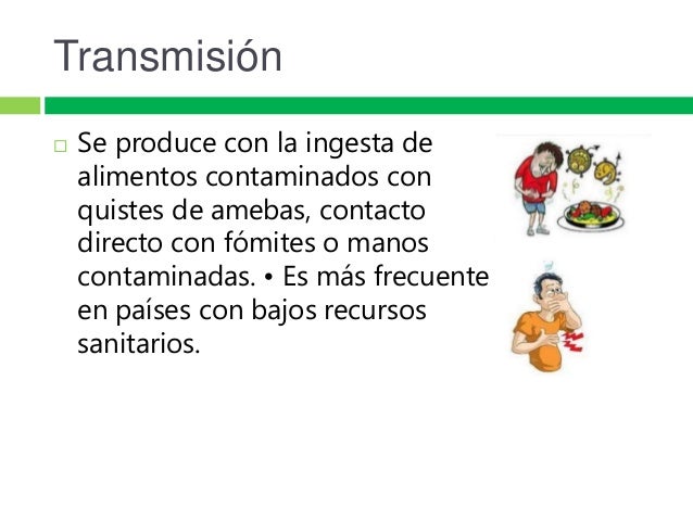 Amebas y flagelados
