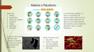 Malaria o Paludismo
Síntomas:
1. Fiebre
2. Escalofríos
3. Dolor de cabeza
4. Sudores
5. Fatiga
6. Náuseas
7. Vómitos
Los síntomas pueden ir y
venir en periodos de
tiempo sobre todo al inicio
de la enfermedad esto se
debe al ciclo reproductivo
del parasito pues invade los
glóbulos rojos y células
hepáticas
Otros síntomas son:
1. Tos seca
2. Dolor muscular
y/o de espalda
3. Agrandamiento
del bazo
En casos raros existe
deterioro del
cerebro o medula
espinal convulsiones
o perdida de la
conciencia
 