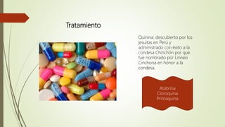 Tratamiento
Quinina: descubierto por los
jesuitas en Perú y
administrado con éxito a la
condesa Chinchón por que
fue nombrado por Linneo
Cinchona en honor a la
condesa.
Atabrina
Cloroquina
Primaquina
 