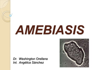 AMEBIASIS
Dr. Washington Orellana
Int. Angélica Sánchez
 