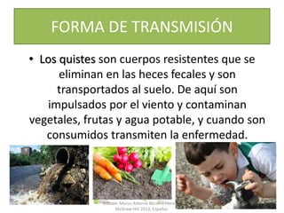 FORMA DE TRANSMISIÓN
• Los quistes son cuerpos resistentes que se
eliminan en las heces fecales y son
transportados al suelo. De aquí son
impulsados por el viento y contaminan
vegetales, frutas y agua potable, y cuando son
consumidos transmiten la enfermedad.
Parasitología Médica. 3a tercera
edición. Marco Antonio Becerril Flores. |
McGraw-Hill 2013, Español.
 