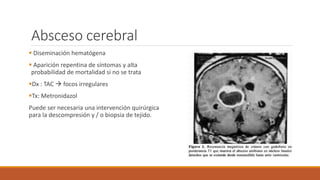Absceso cerebral
 Diseminación hematógena
 Aparición repentina de síntomas y alta
probabilidad de mortalidad si no se trata
Dx : TAC  focos irregulares
Tx: Metronidazol
Puede ser necesaria una intervención quirúrgica
para la descompresión y / o biopsia de tejido.
 