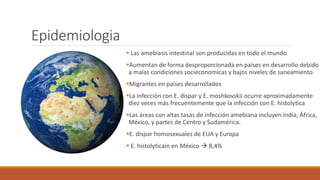 Epidemiologia
 Las amebiasis intestinal son producidas en todo el mundo
Aumentan de forma desproporcionada en países en desarrollo debido
a malas condiciones socieconomicas y bajos niveles de saneamiento
Migrantes en países desarrollados
La infección con E. dispar y E. moshkovskii ocurre aproximadamente
diez veces más frecuentemente que la infección con E. histolytica
Las áreas con altas tasas de infección amebiana incluyen India, África,
México, y partes de Centro y Sudamérica.
E. dispar homosexuales de EUA y Europa
 E. histolyticain en México  8,4%
 