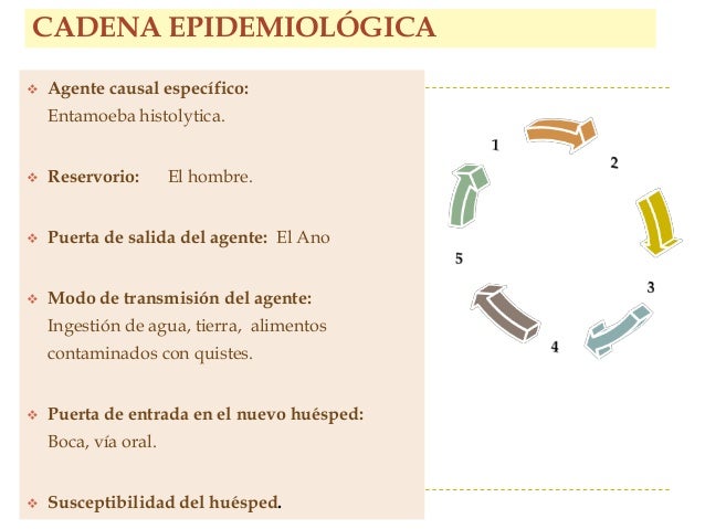 cadena epidemiologica cual es amebiasis salud p 250 blica cadena epidemiologica cual es amebiasis salud p 250 blica