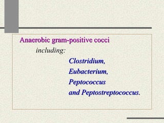 Anaerobic gram-positive cocci
including:
Clostridium,
Eubacterium,
Peptococcus
and Peptostreptococcus.
 