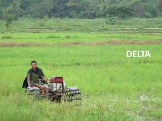 The rapid rise of agricultural mechanization in Myanmar