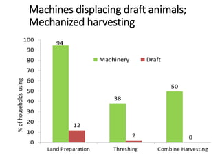The rapid rise of agricultural mechanization in Myanmar