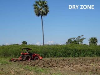 The rapid rise of agricultural mechanization in Myanmar