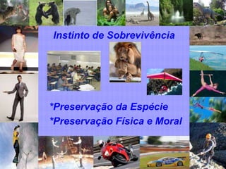 Instinto de Sobrevivência




*Preservação da Espécie
*Preservação Física e Moral
 