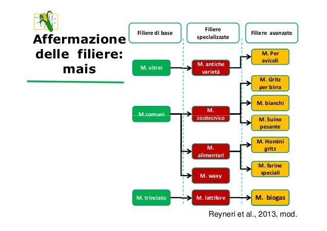 e micotossine baby food su Amedeo produzioni sodo delle e sanità Reyneri Semina â€“