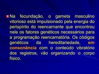 Na fecundação, o gameta masculino
vitorioso está impulsionado pela energia do
perispírito do reencarnante que encontrou
nele os fatores genéticos necessários para
a programação reencarnatória. Os códigos
genéticos da hereditariedade, em
consonância com o conteúdo vibratório
dos registros, vão organizando o corpo
físico.
 