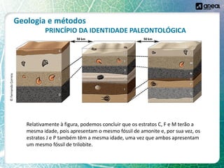 Geologia e métodos
PRINCÍPIO DA IDENTIDADE PALEONTOLÓGICA
Relativamente à figura, podemos concluir que os estratos C, F e M terão a
mesma idade, pois apresentam o mesmo fóssil de amonite e, por sua vez, os
estratos J e P também têm a mesma idade, uma vez que ambos apresentam
um mesmo fóssil de trilobite.
©
Fernando
Correia
 