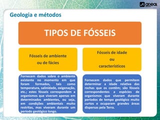 Geologia e métodos
TIPOS DE FÓSSEIS
Fósseis de ambiente
ou de fácies
Fornecem dados sobre o ambiente
existente no momento em que
foram formados, tais como
temperatura, salinidade, oxigenação,
etc.; estes fósseis correspondem a
organismos que viveram apenas em
determinados ambientes, ou seja,
em condições ambientais muito
restritas, mas viveram durante um
período geológico longo.
Fósseis de idade
ou
característicos
Fornecem dados que permitem
determinar a idade relativa das
rochas que os contêm; são fósseis
correspondentes a espécies de
organismos que viveram durante
períodos de tempo geológico muito
curtos e ocuparam grandes áreas
dispersas pela Terra.
 