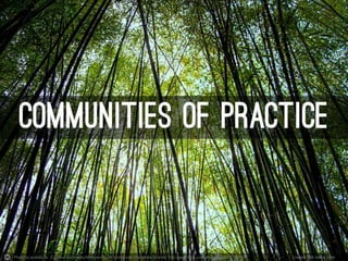 Photo by ecstaticist - Creative Commons Attribution-NonCommercial-ShareAlike License http://www.flickr.com/photos/41864721@N00 Created with Haiku Deck 
 