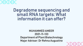 MUHAMMED AMEER
2021-11-133
Department of Plant Biotechnology
Major Advisor: Dr Rehna Augustine
Degradome sequencing and
small RNA targets: What
information it can offer?
 