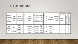 CUERPO DEL AMEF
 
