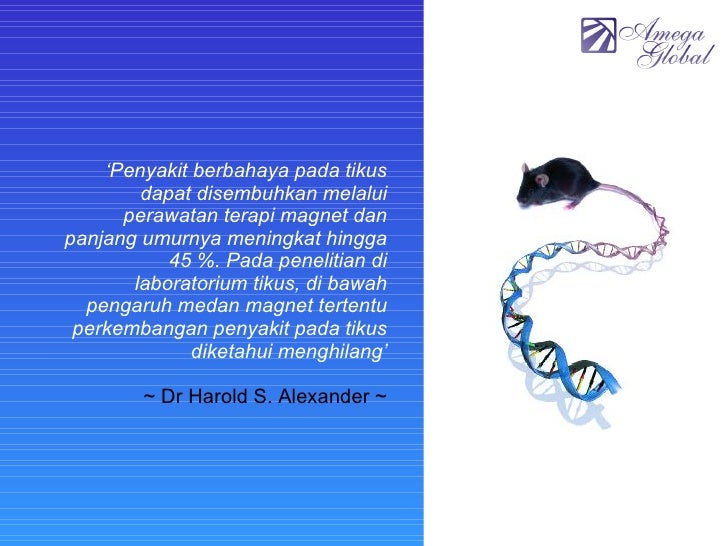 Gelang Magnet Amega Magnetic Infra Red Bracelet Gelang Gelang Magnet Amega Magnetic Infra Red Bracelet Gelang