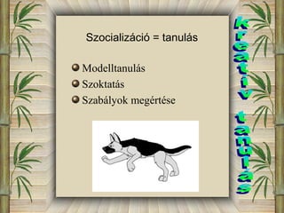Szocializáció = tanulás 
Modelltanulás 
Szoktatás 
Szabályok megértése 
 