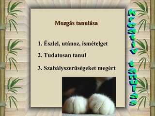 MMoozzggááss ttaannuulláássaa 
1. Észlel, utánoz, ismételget 
2. Tudatosan tanul 
3. Szabályszerűségeket megért 
 