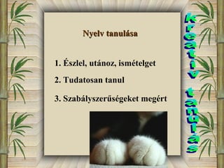 NNyyeellvv ttaannuulláássaa 
1. Észlel, utánoz, ismételget 
2. Tudatosan tanul 
3. Szabályszerűségeket megért 
 