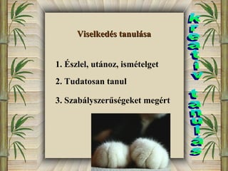 VViisseellkkeeddééss ttaannuulláássaa 
1. Észlel, utánoz, ismételget 
2. Tudatosan tanul 
3. Szabályszerűségeket megért 
 