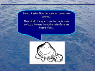 A vida das amêijoas Bom... Assim ficaram a saber como nós somos... Mas ainda lhe quero contar mais uma coisa, o homem também interfere na nossa vida... 