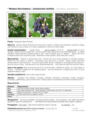 * Western Serviceberry – Amelanchier alnifolia

(am-el-AN-keer all-nih-FOE-lee-uh)

Family: Rosaceae (Rose Family)
Native to: Western North America from CA to AK. Locally in western San Gabriels; usually on slopes
near streams or dry creeks, or in open woodlands in full sun to part shade.
woody shrub
mature height: 6-12+ ft.
mature width: 6-10 ft.
Upright, woody shrub to small tree. Leaves simple, oval, dull green and winter-deciduous. In colder
climates, leaves become yellow/orange in fall. Bark smooth, gray or reddish.
Plants can form
multiple trunks from suckering roots. Moderate to slow growth; long-lived (50+ years).

Growth characteristics:

Blooms in spring (Apr-Jun). Flowers are pure white, fragrant, in compact clusters.
Plants are very showy in bloom – and bloom may last up to a month. Small, sweet, dark-blue
berries ripen in early summer. Fruits are good fresh, dried, in baking or for preserves and sauces –
even for wine or teas. Use berries as one would blueberries. You’ll have to fight the birds for them!

Blooms/fruits:

Uses in the garden: Nice all-purpose shrub for shrub borders, hillsides & slopes, as a tall hedge or
screen.
Excellent addition to an edibles garden. Can be trained to a single-trunk ‘tree’ or even
espaliered along a wall.

Sensible substitute for: Non-native large shrubs.
Excellent bird habitat: thrushes, towhees, bluebirds, waxwings, orioles, tanagers,
grosbeaks, goldfinches, juncos eat the fruit. Foliage eaten by swallowtail and other butterfly larvae.

Attracts:

Requirements:
Element
Sun
Soil
Water
Fertilizer
Other

Requirement

Full sun to part-shade (even fairly shady).
Any well-drained soil – quite tolerant; likes lower pH (5.0-7.0 optimal)
Moist to dry soils – Zones 2 to 2-3 best.
Mulch well with an organic mulch

Pruning as needed. Can be pruned to shape – even severely – but retain last year’s
growth for good fruit production.
Fire Blight and fungal diseases possible with regular irrigation.

Management:

Propagation: from seed: cold-moist treatment; plant in spring

by cuttings: yes

Plant/seed sources (see list for source numbers): 1, 6, 8, 10, 13

4/1/09

* Native to CA but not to Western L.A. Co.

© Project SOUND

 