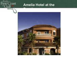 Amelia Hotel at the
Beach

Florida's First Coast of Golf

Florida's First Coast of Golf
Florida's First Coast of Golf
Florida's First Coast of Golf
Florida's First Coast of Golf
Florida's First Coast of Golf

 