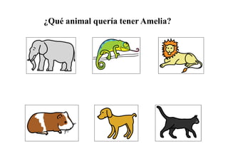 ¿Qué animal quería tener Amelia?
 