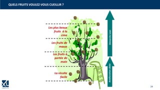 24
QUELS FRUITS VOULEZ-VOUS CUEILLIR ?
Démarche
Lean
Amélioration
ciblée
 