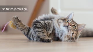 Donnez toute la place aux images.
 