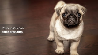 Part des graphiques qui
ressemblent à PacMan
Part des graphiques
qui ne ressemblent
pas à PacMan
 