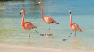 sans serif
Aa Aa
serif
 