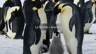 Avenir
Light
Avenir
Heavy
Avenir
Medium
Avenir
Oblique
Avenir
Black
La famille « Avenir »
 