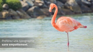 Optez pour le light.
 