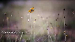 Définissez une IDENTITÉ visuelle
 