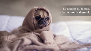 Mais ce n’est pas PowerPoint le problème.
 