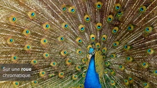 Cela permet de voir comment elles
s’opposent et se suivent.
 