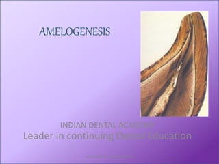 AMELOGENESIS
INDIAN DENTAL ACADEMY
Leader in continuing Dental Education
www.indiandentalacademy.com
 